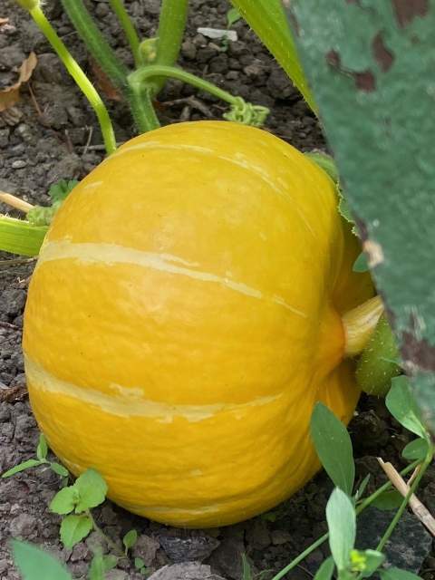 Galerie Photos · Domaine de Beaulieu 